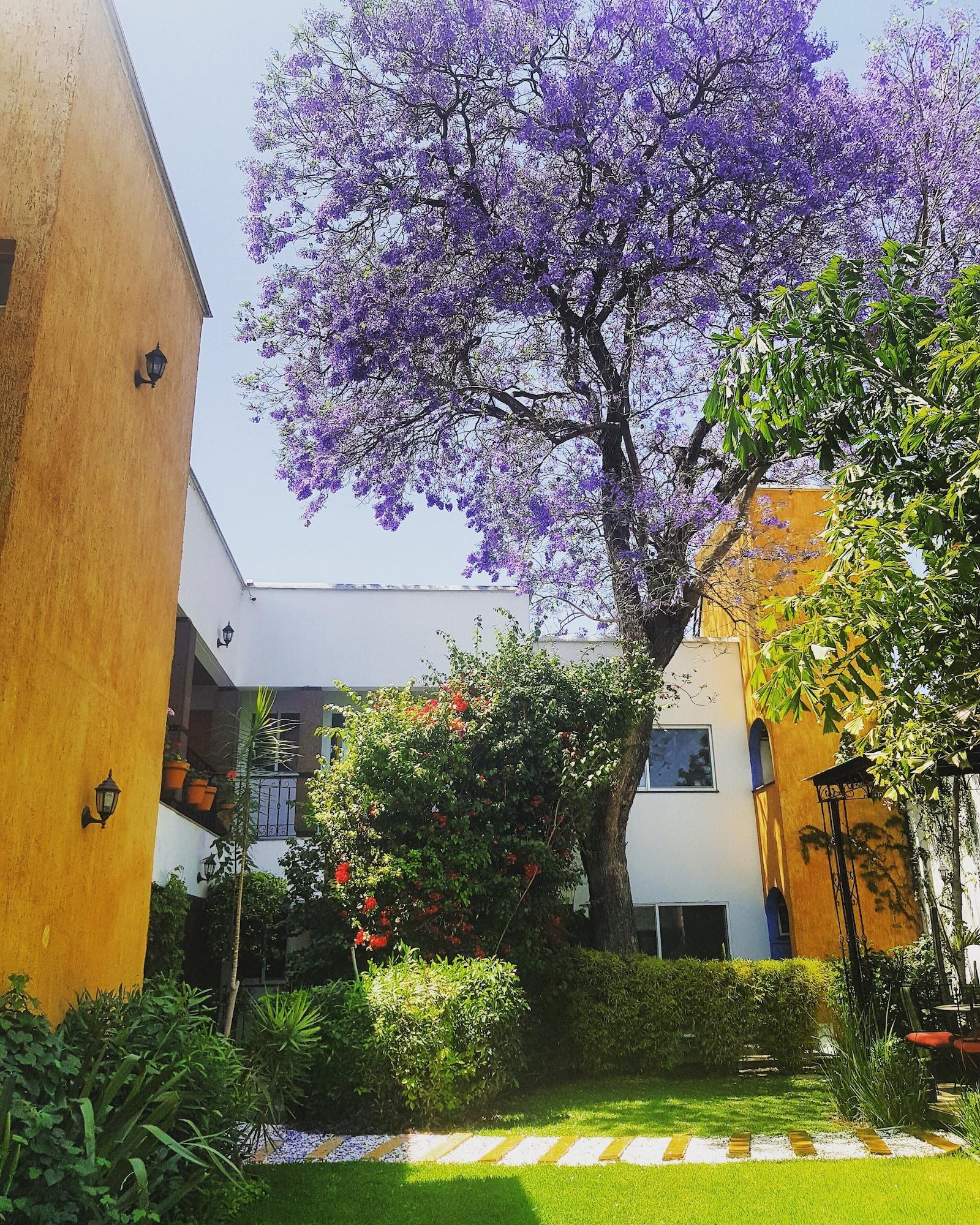 Hotel Quinta Lucca Querétaro Zewnętrze zdjęcie